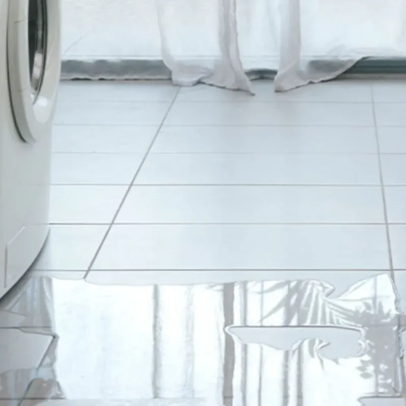 Appliance Leak Cleanup in Pearsall, TX