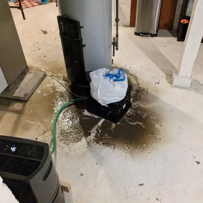 Sewage Backup Cleanup Service in Pearsall, TX
